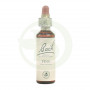 Flores de pinheiro de Bach (pinheiro silvestre) 20Ml. Bach