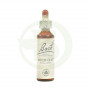 Flores de Aveia Selvagem de Bach (Aveia Selvagem) 20Ml. Bach