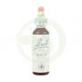 Flores de Faia de Bach (Faia) 20Ml. Bach