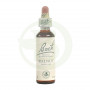 Flores de Nogueira de Bach (Nogal) 20Ml. Bach