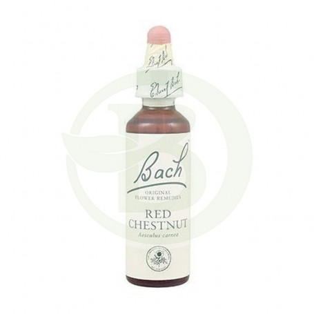 Flores de castanha vermelha de Bach (castanha vermelha) 20Ml. Bach