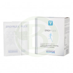 Ergyflex 30 Sachês Nutergia