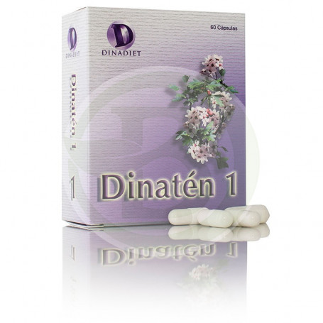 Dinaten 60 cápsulas de Dinadiet