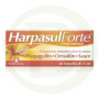 Harpasul Forte 20 Ampolas Natysal